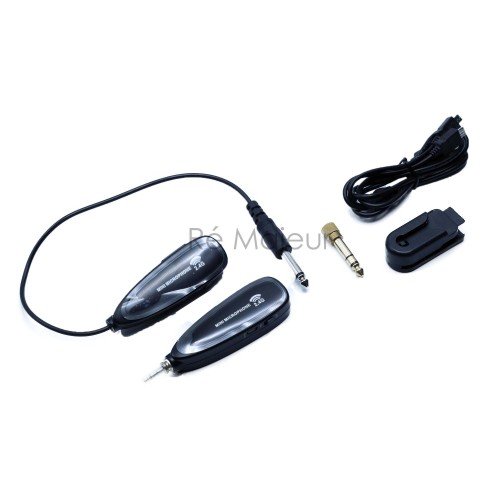 ACEMIC Wireless System G-110