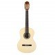 Cordoba Classical Guitar