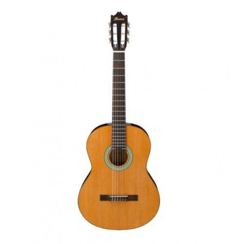 Ibanez Classical Guitars