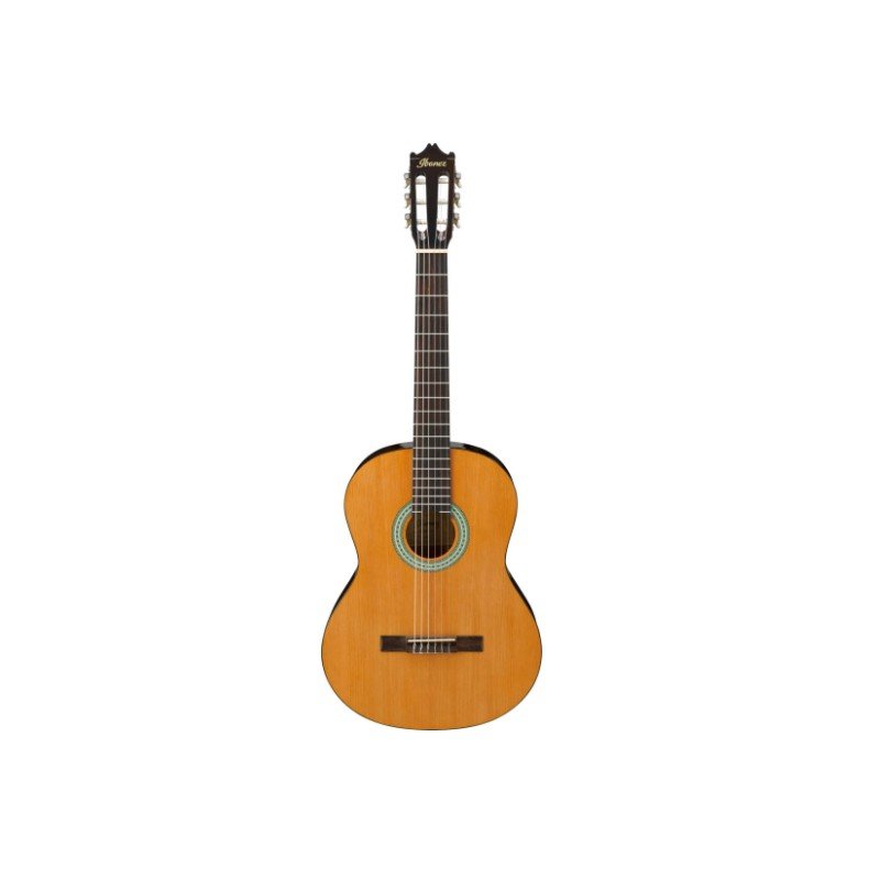Ibanez Classical Guitars