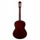 Ibanez Classical Guitars