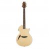 LTD Acoustic Guitars