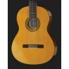 Yamaha C-40