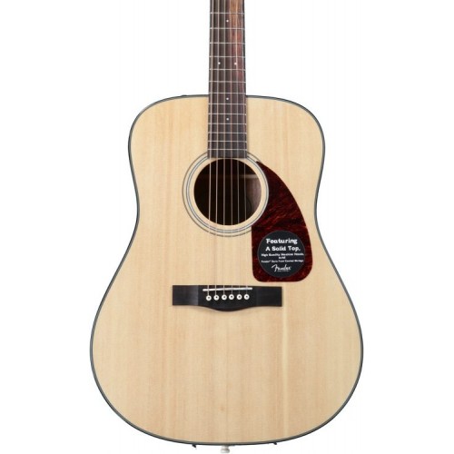Guitar Acoustic Fender