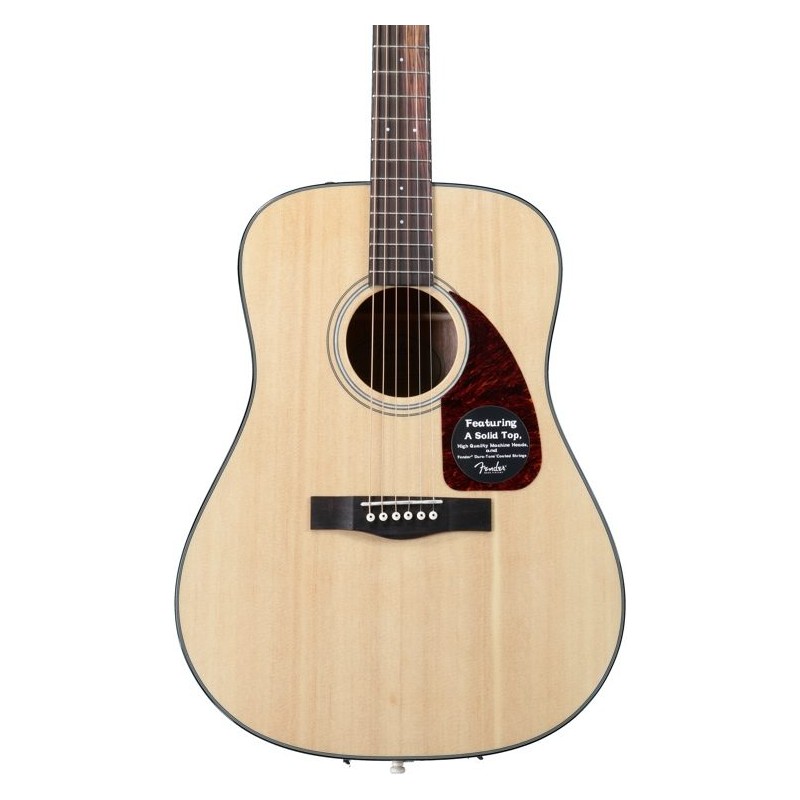Guitar Acoustic Fender