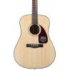 Guitar Acoustic Fender