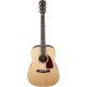 Guitar Acoustic Fender