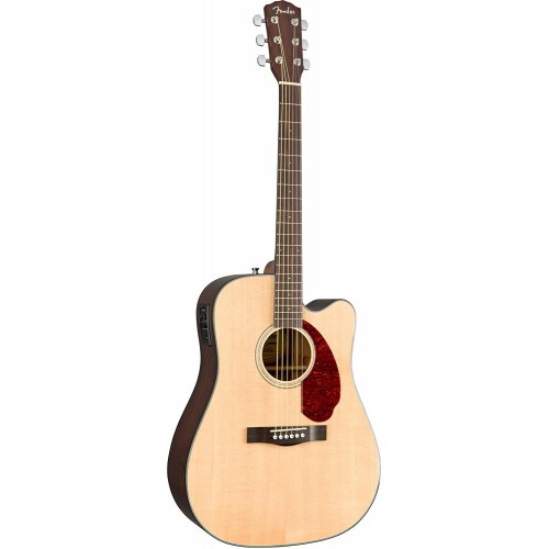 Guitar Acoustic Fender