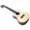 Fernando Ukulele Concerto