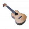 Fernando Ukulele Concerto